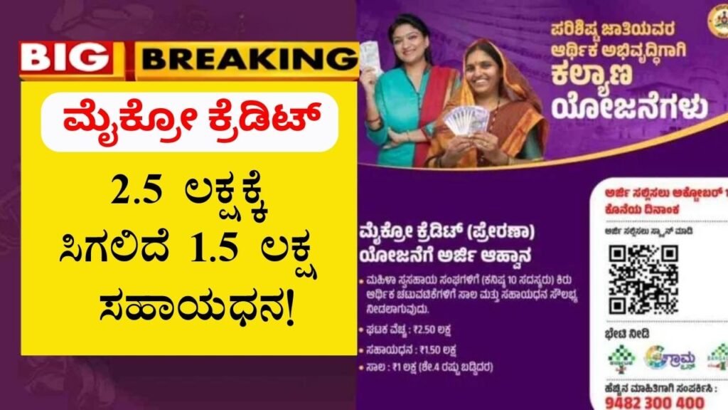 Micro Credit Scheme