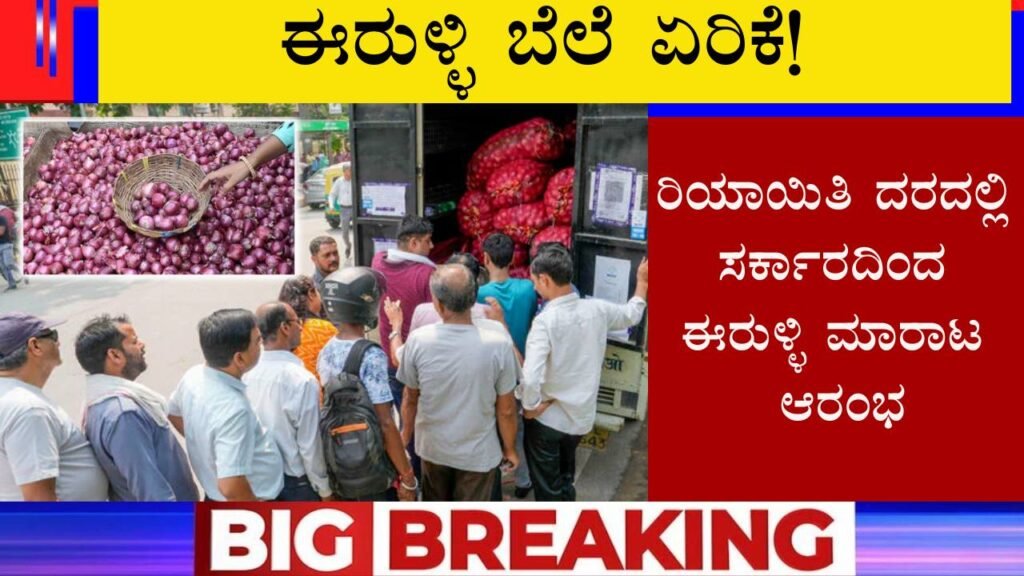 Onion at discount price