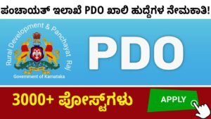 PDO